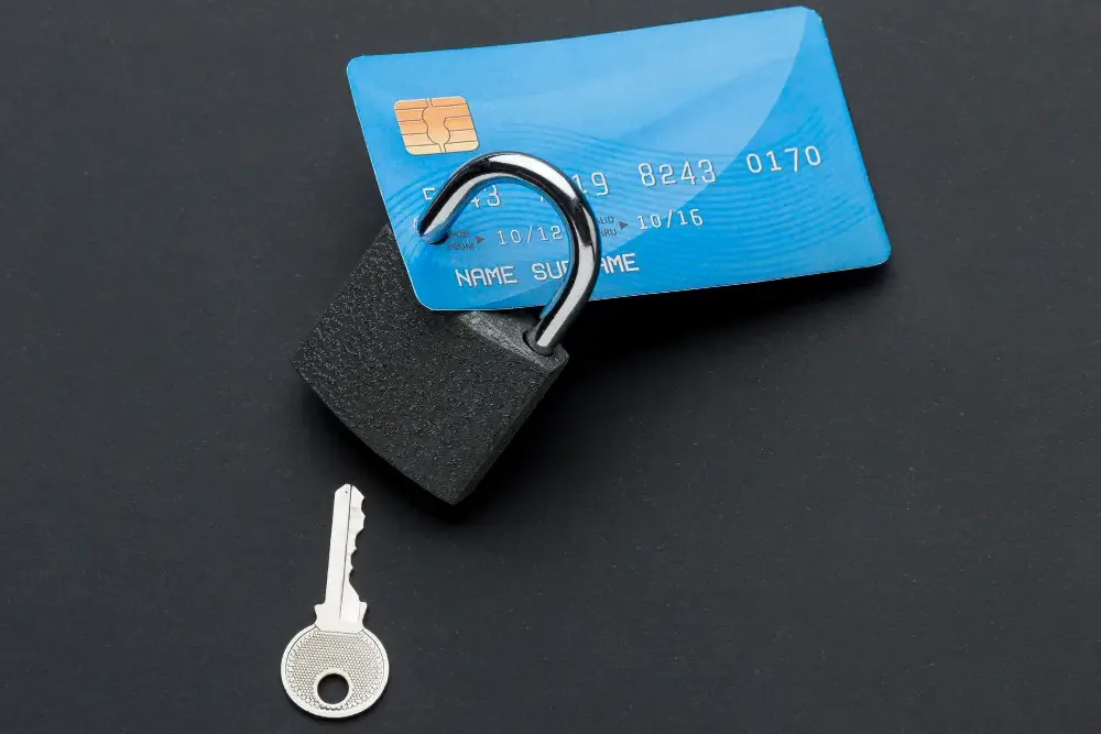 Credit Freeze